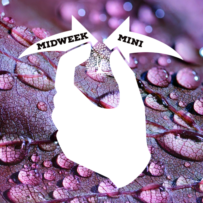 Midweek Mini Ep 17: Camp and Disabilities